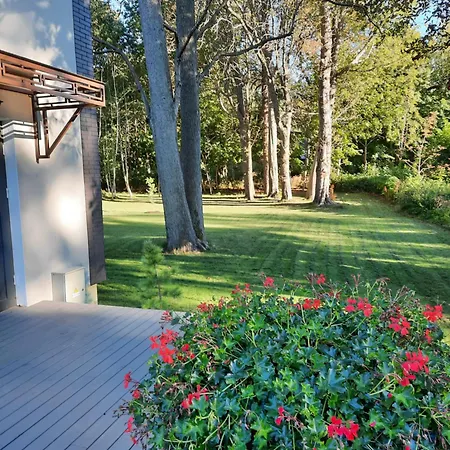 Seaside - Sunset 클라이페다